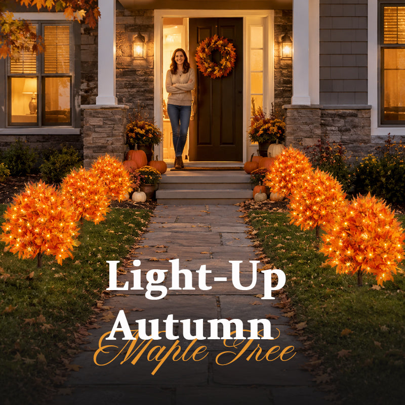 Lighted Autumn Maple Trees