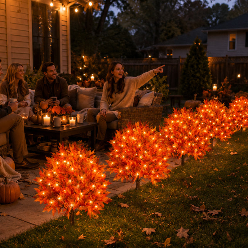 Lighted Autumn Maple Trees